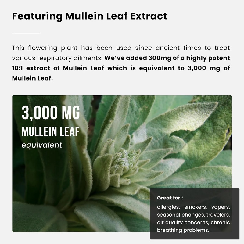 Mullein Leaf Extract - Lung Cl - Herbal Supplement ulasan dan harga