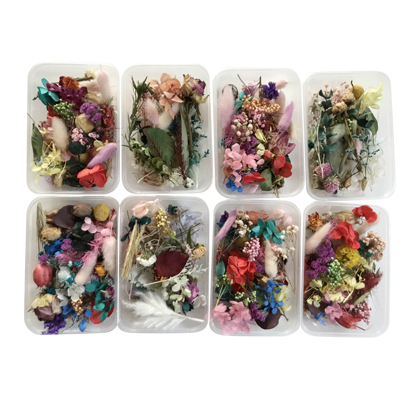 Natural Dried Flower Kit Press - Dried Herbs ulasan dan harga