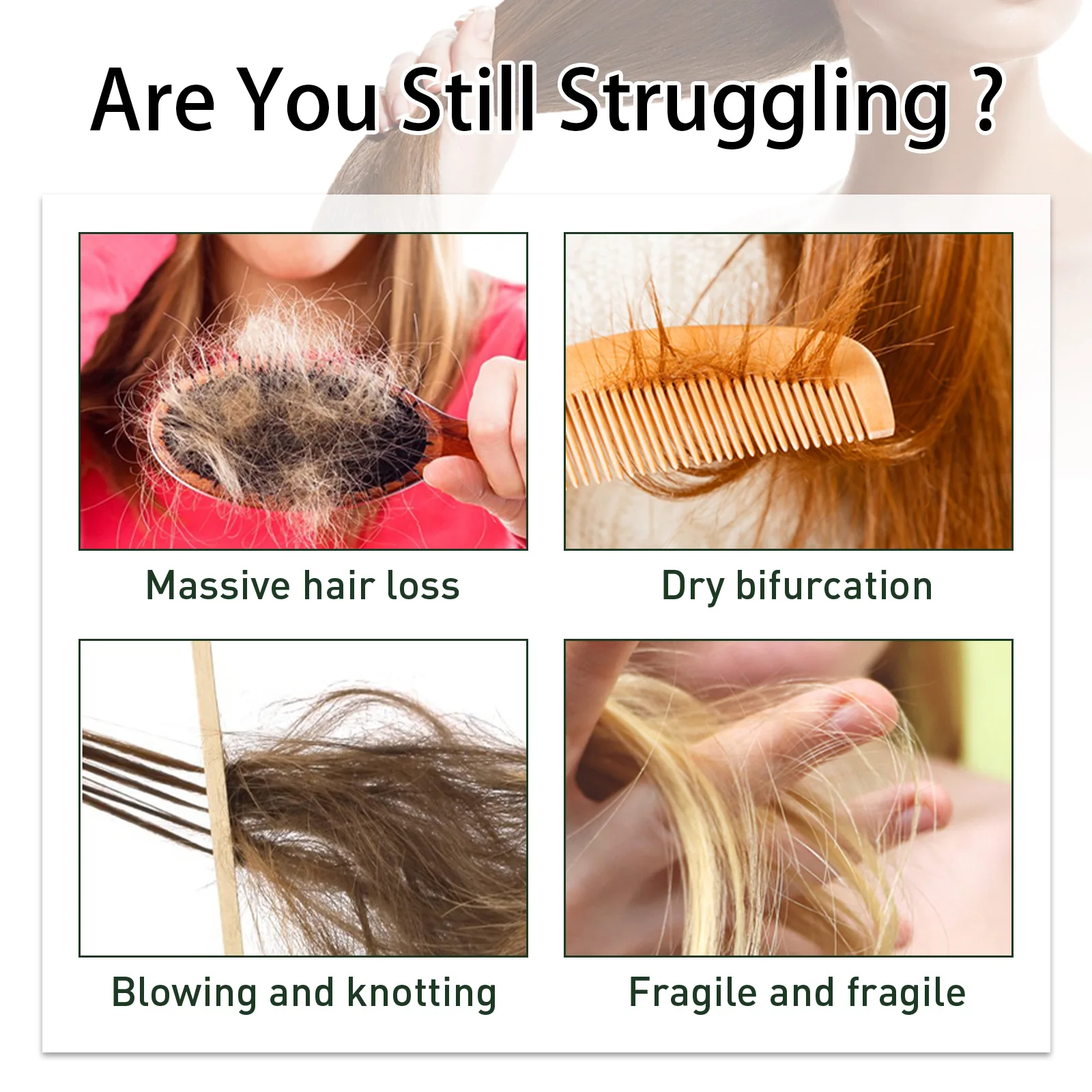 7 Days Ginger Hair Growth Prod - Licorice Root Sticks ulasan dan harga