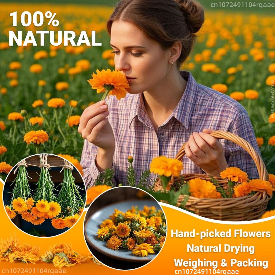 Natural Dried Marigold Flowers - Chamomile Tea ulasan dan harga