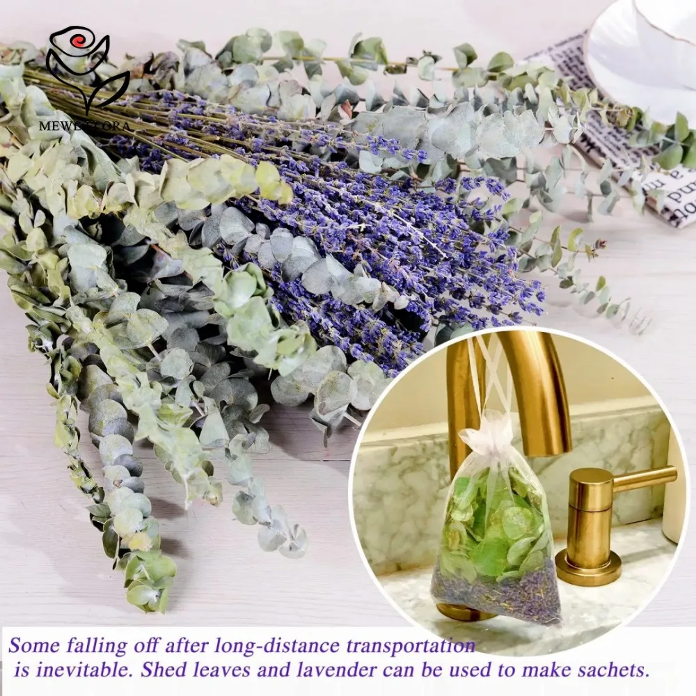 30Pcs Dried Flowers Preserved  - Dried Herbs ulasan dan harga