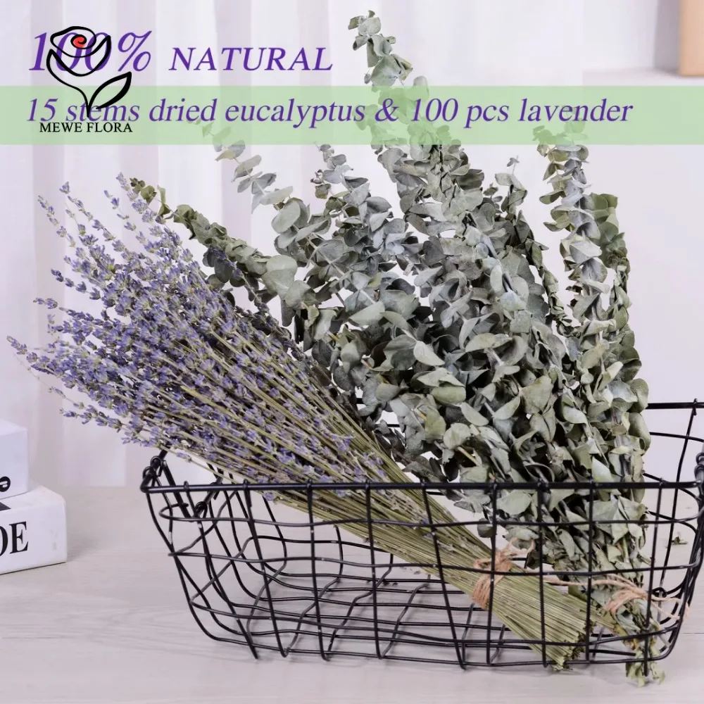 30Pcs Dried Flowers Preserved  - Dried Herbs ulasan dan harga