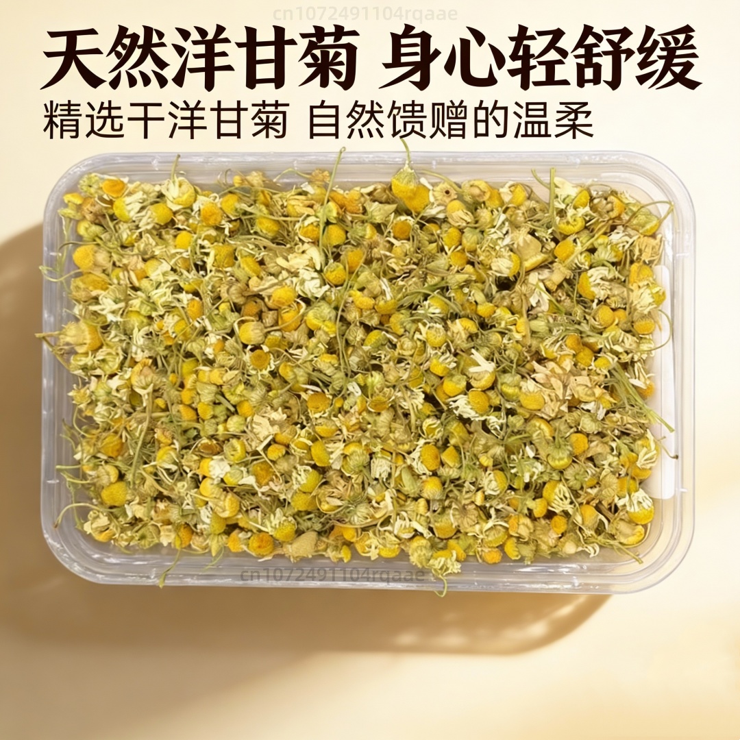 High-quality Natural Dried Cha - Chamomile Tea ulasan dan harga