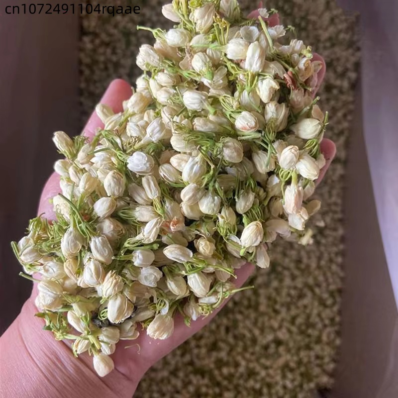 High-quality Natural Jasmine D - Chamomile Tea ulasan dan harga